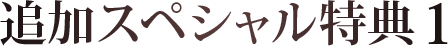 追加スペシャル特典その1