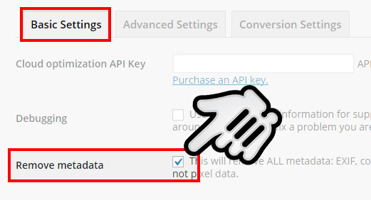 Remove metadata にチェックが入っているか確認