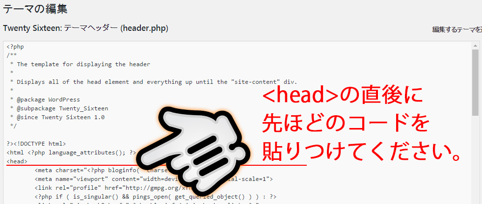 の直後にコードを貼りつけ