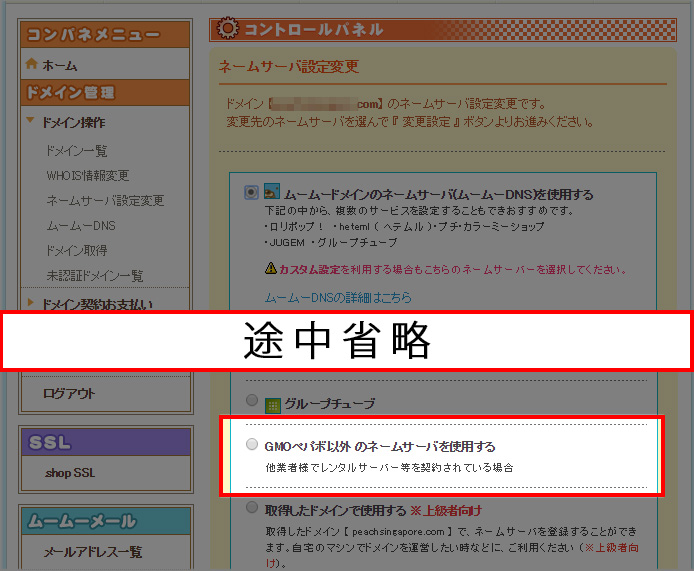 GMOペパボ以外のネームサーバを使用するにチェック