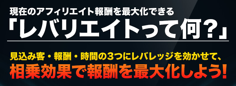 レバリエイトって何？