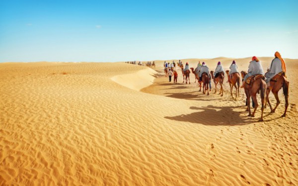 砂漠の中に埋もれた1円玉