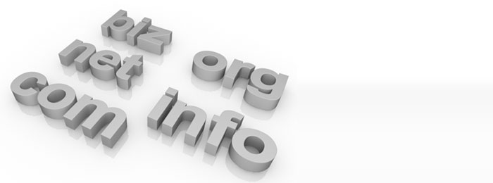 独自ドメインは必須